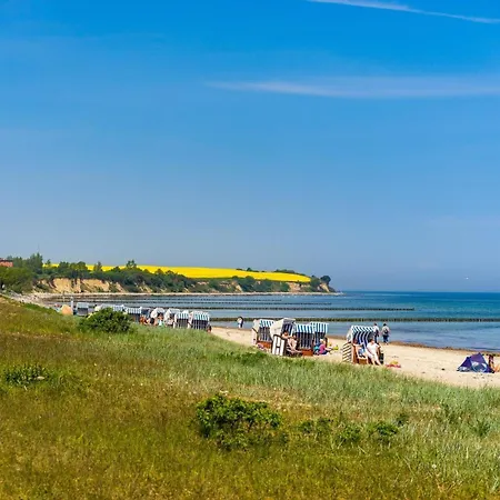 Schwarzer Baer Whg Baer 01 *